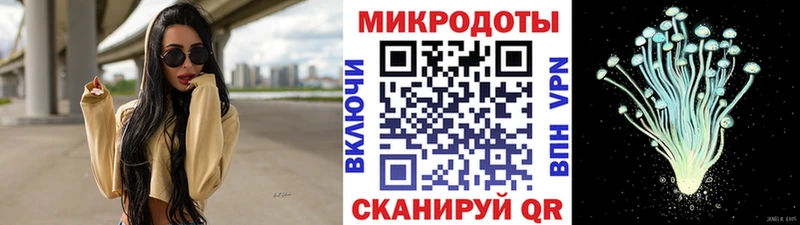 Купить закладки  Долгопрудный  Галлюциногенные грибы MAGIC MUSHROOMS 